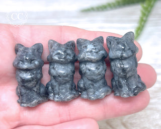 Larvikite Fox
