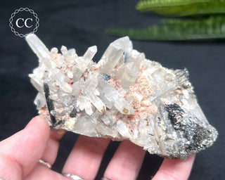 Lattice Quartz - Namibia #2