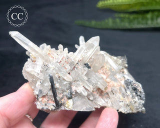 Lattice Quartz - Namibia #2