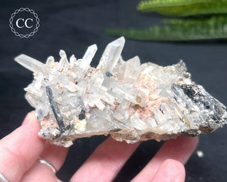 Lattice Quartz - Namibia #2