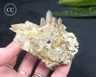 Lattice Quartz - Namibia #3