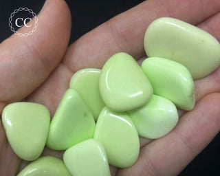 Lemon Chrysoprase Tumbled Crystal