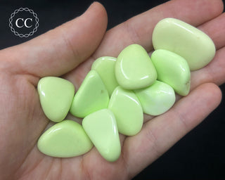Lemon Chrysoprase Tumbled Crystals in hand