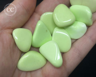 Lemon Chrysoprase Tumbled Crystal