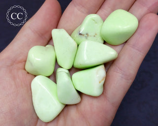 Lemon Chrysoprase Tumbled Crystals in hand