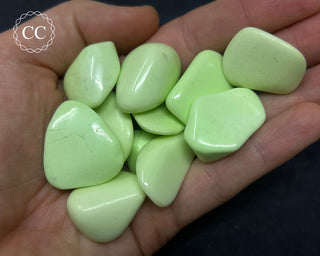 A hand holding a selection of Lemon Chrysoprase tumbled crystals 