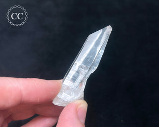 Lemurian Quartz #7