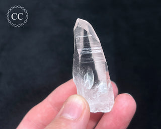 Lemurian Quartz #2
