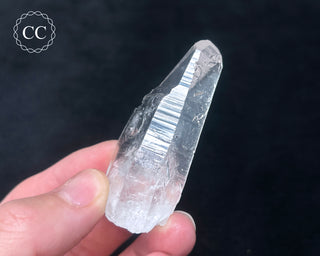 Lemurian Quartz #4