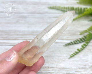 Lemurian Quartz #7