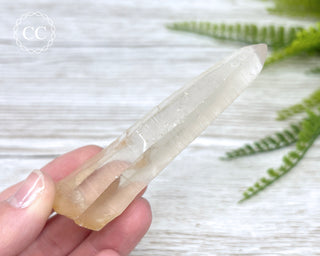 Lemurian Quartz #7