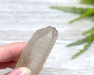 Lemurian Quartz #7