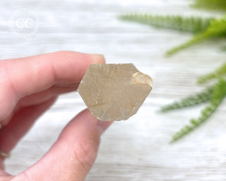 Lemurian Quartz #7