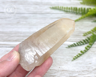 Lemurian Quartz #10