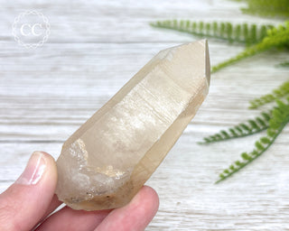 Lemurian Quartz #10