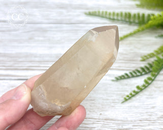 Lemurian Quartz #10