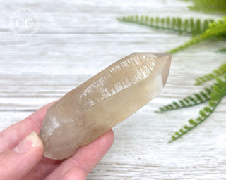 Lemurian Quartz #10