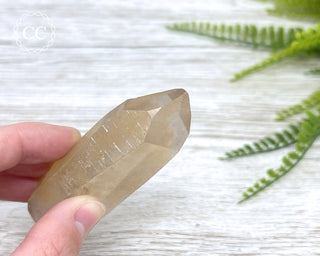 Lemurian Quartz #10