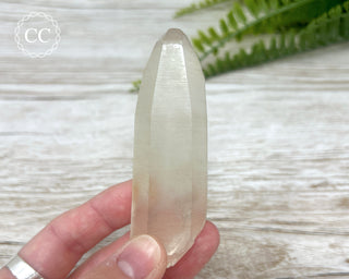 Lemurian Quartz #2