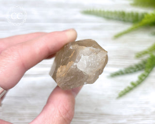 Lemurian Quartz #12