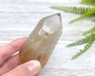 Lemurian Quartz #15