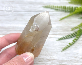 Lemurian Quartz #15