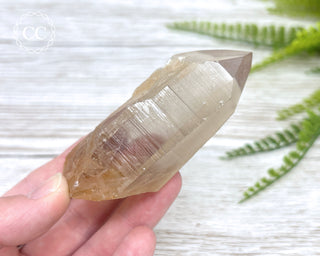 Lemurian Quartz #15