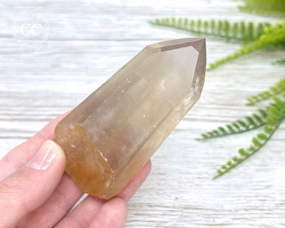 Lemurian Quartz #15