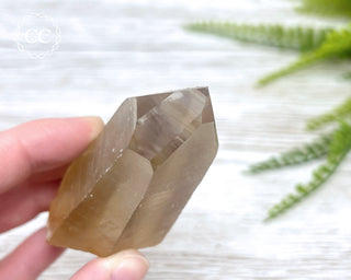 Lemurian Quartz #15