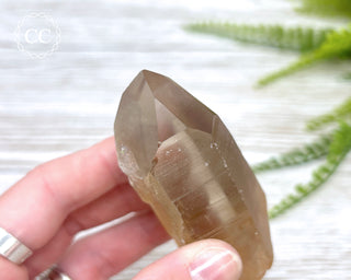 Lemurian Quartz #15