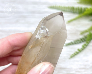 Lemurian Quartz #15