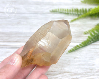 Lemurian Quartz #17