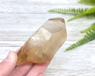 Lemurian Quartz #17