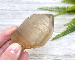 Lemurian Quartz #17