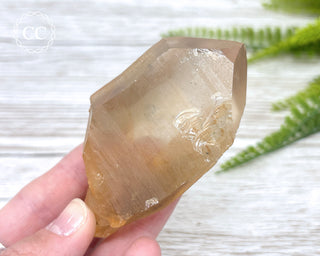 Lemurian Quartz #17