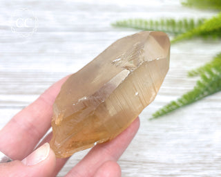 Lemurian Quartz #17