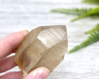 Lemurian Quartz #17