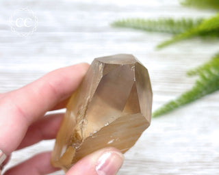 Lemurian Quartz #17