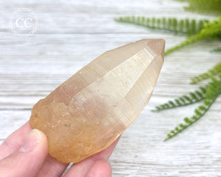 Lemurian Quartz #3