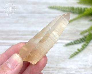 Lemurian Quartz #5