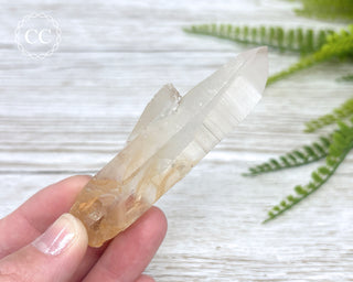 Lemurian Quartz #6