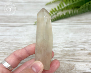 Lemurian Quartz #1