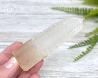 Lemurian Quartz #7