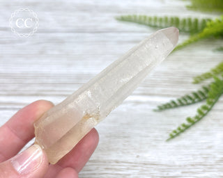 Lemurian Quartz #7