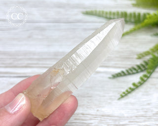 Lemurian Quartz #7