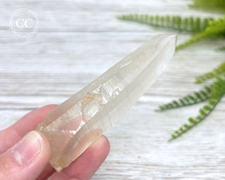 Lemurian Quartz #7