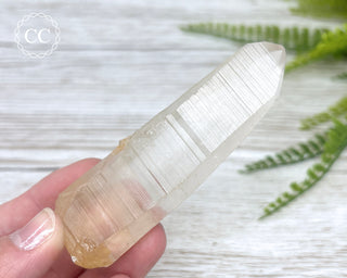 Lemurian Quartz #7