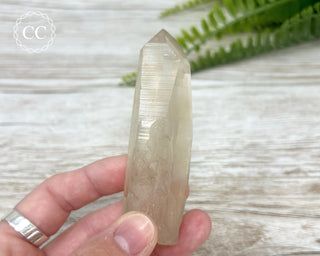 Lemurian Quartz #1