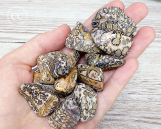 Leopard Skin Tumbled Crystals in hand