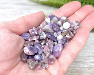 Lepidolite Crystal Chips 50g